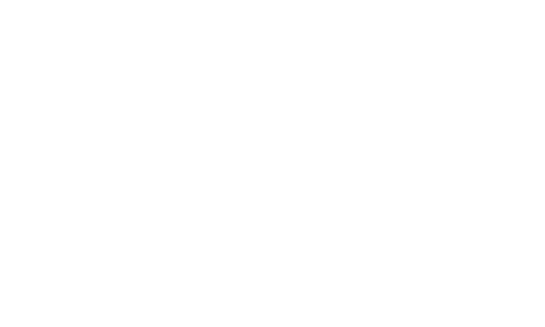 Brand Identity System Definition