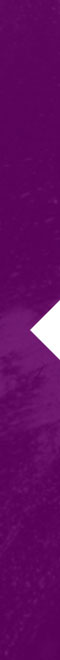 DIGITAL BRAND DESIGN