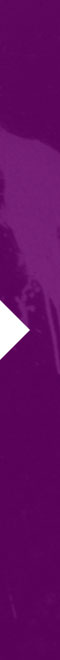 BRANDED PRINT DESIGN
